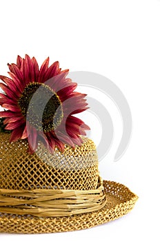 Red Sunflower with Women Straw Hat Isolated on White Background