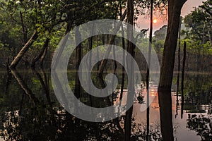 Red Sunrise in the Amazon, Amazonas, Brazil