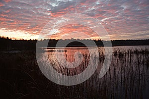 Red sunrise on the lake