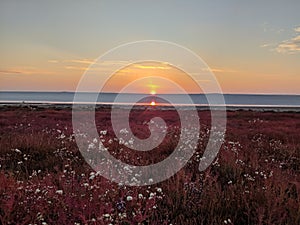 Red sunset over water and a field with red grass