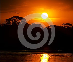 A red sunset at Piquiri river, in Pantanal, Brazil. photo