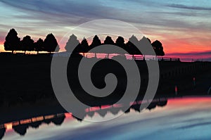 A red sunset sihouettes a row of trees photo