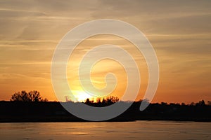 Red sunset sky behind trees of forest
