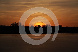Red sunset sky behind trees of forest