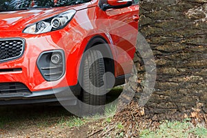 A red SUV 4x4 parked next to a palm