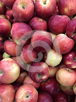 Red sweet apples background in the store