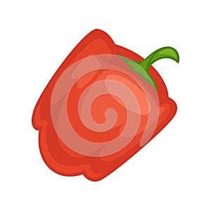 Red sweet bell pepper with small green stem