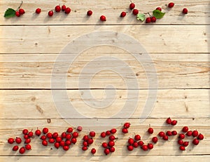 Red sweet berries of hawthorn on a light wooden background