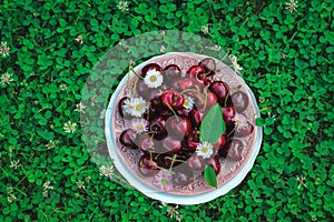 Red sweet cherries in bowl on a green lawn