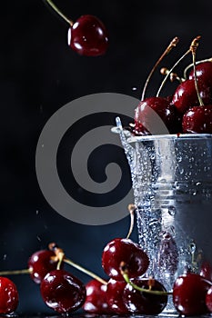 Red sweet cherries in a metal bucket on a dark and blue background. Summer taste. Fresh berries under the water drops.