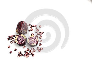 Red sweet corn isolated white background. Siam Ruby Queen corn