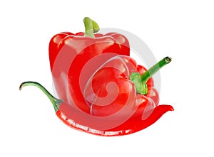 Red sweet paprika and hot chilly peppers composition isolated on white for design packaging