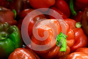 Red sweet pepper with blurred peppers on background