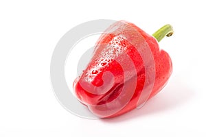 Red sweet pepper on white background