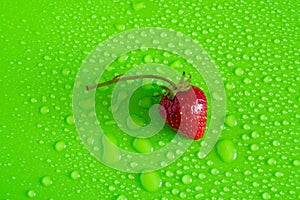 Red sweet ripe strawberry berry on green matte background with water drops