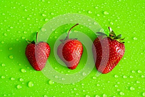 Red sweet ripe strawberry berry on green matte background with water drops