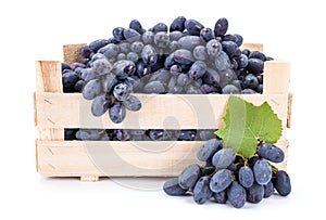 Red table grapes (Vitis) in wooden crate photo