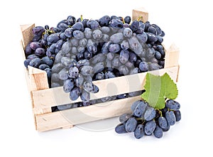 Red table grapes (Vitis) in wooden crate photo