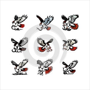 Red-tailed Hawk Capturing Prey â Action Silhouette of Raptor Striking