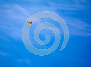 Red Tailed Hawk In Flight