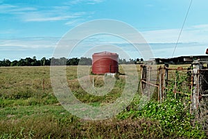 A Red Tank Stand