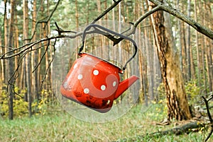 Red tea-pot