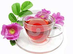 Red tea with wild rose