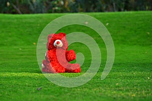 red teddy bear sitting on a garden