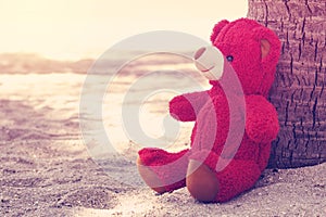 Red teddy bear sitting under coconut palms on the beach