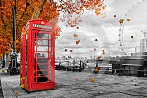 Red telephone booths in London during autumn