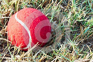 Red tennis ball on dew drops wet green grass track play ground