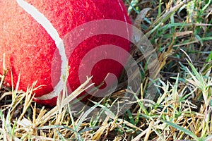 Red tennis ball on dew drops wet green grass track play ground