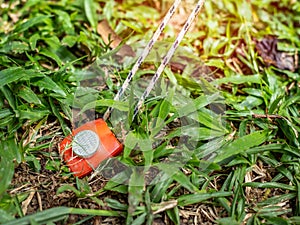 Red tent peg holding a rope