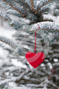 Red textile heart hanging on snowy fir tree branch, Christmas and St Valentine`s Day greeting concept