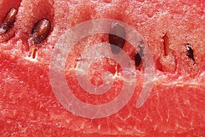 Red texture of sweet watermelon close up background