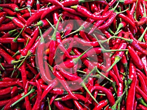 Red Thai pepper, Chilli Padi, Capsicum annuum, blooming background vegetable food