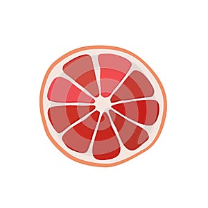 Red thin slice of grapefruit. Isolated vector sliced fruit in flat style. Summer clipart for design