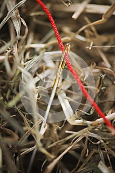 Red thread needle in the Hay vertical