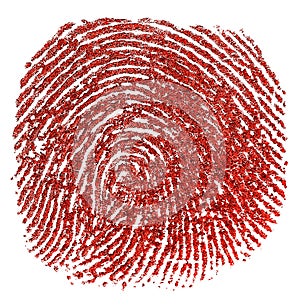Red thumbprint isolated on white background. Real fingerprint. Macro
