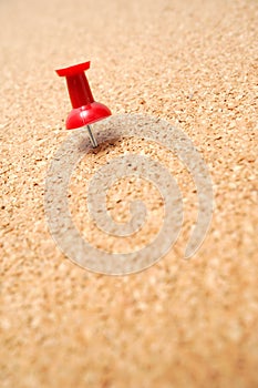 Red thumbtack on cork board