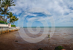 Red tide in summer season. Harmful algal bloom phenomenon in Key West, Florida