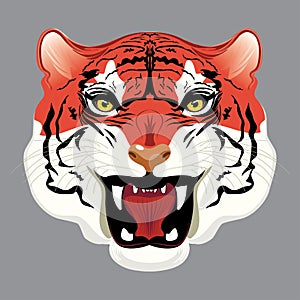 Red tiger portrait