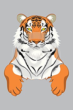 Red tiger portrait