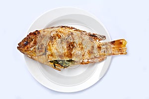 Red tilapia grill photo