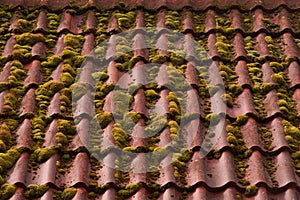 red tile overgrown roof texture background