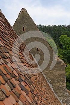 Red tile roof, Copsa Mare, Romania