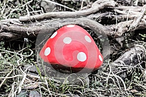 Red Toadstool
