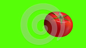 Red tomato, 3D animation video for cookers, 4K