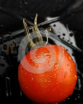 red tomato on abstract black background. Photo