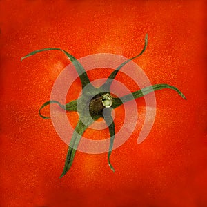 Red tomato background